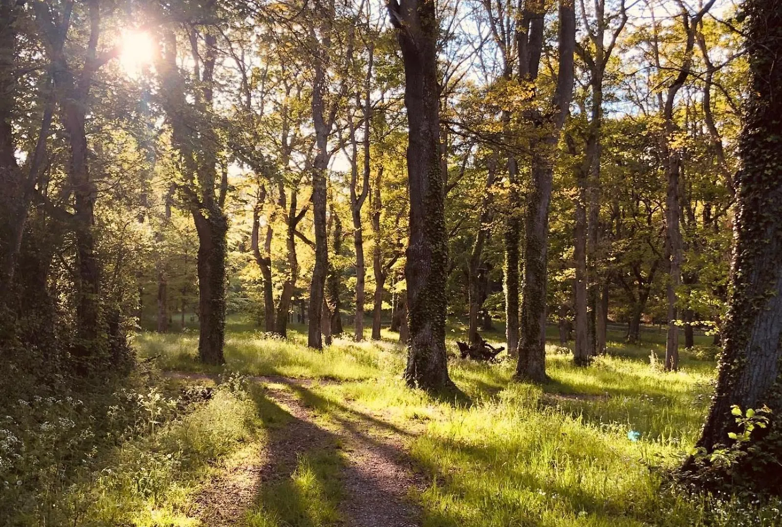 Luxe tent Ma Yourte Au Fond Du Jardin La Barthe-de-Neste Frankrijk